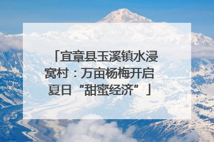 宜章县玉溪镇水浸窝村：万亩杨梅开启夏日“甜蜜经济”