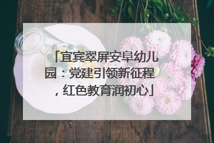 宜宾翠屏安阜幼儿园：党建引领新征程，红色教育润初心