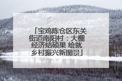 宝鸡陈仓区东关街道南阳村：大棚经济结硕果 绘就乡村振兴新图景