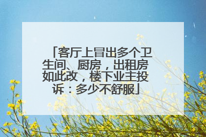 客厅上冒出多个卫生间、厨房，出租房如此改，楼下业主投诉：多少不舒服
