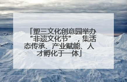 塑三文化创意园举办“非遗文化节”，集活态传承、产业赋能、人才孵化于一体