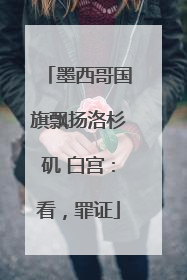 墨西哥国旗飘扬洛杉矶 白宫：看，罪证
