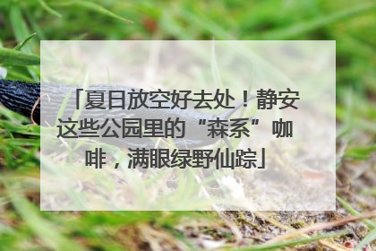夏日放空好去处！静安这些公园里的“森系”咖啡，满眼绿野仙踪