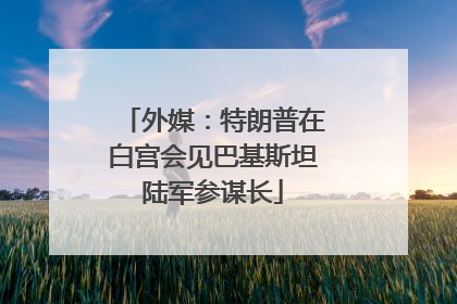 外媒：特朗普在白宫会见巴基斯坦陆军参谋长