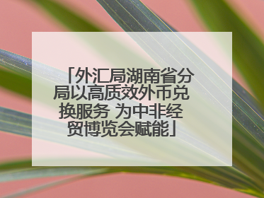 外汇局湖南省分局以高质效外币兑换服务 为中非经贸博览会赋能