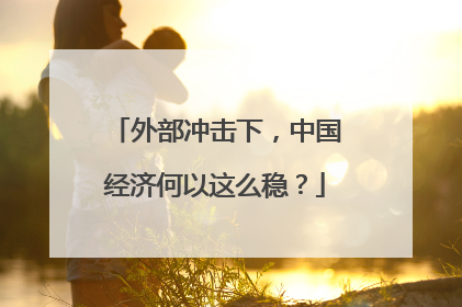 外部冲击下，中国经济何以这么稳？
