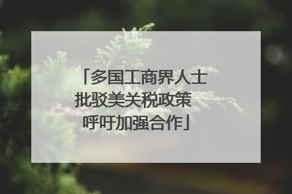 多国工商界人士批驳美关税政策 呼吁加强合作