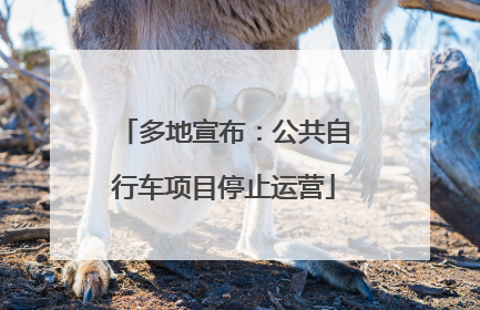 多地宣布：公共自行车项目停止运营