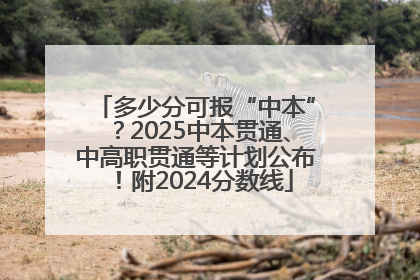 多少分可报“中本”？2025中本贯通、中高职贯通等计划公布！附2024分数线
