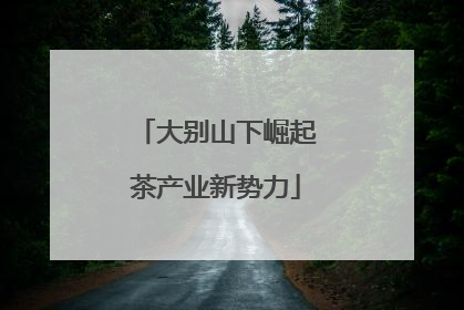 大别山下崛起茶产业新势力
