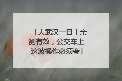大武汉一日丨亲测有效，公交车上这波操作必须夸