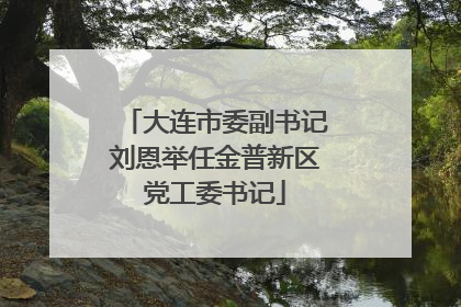 大连市委副书记刘恩举任金普新区党工委书记