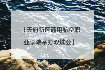 天府新区通用航空职业学院举办双选会