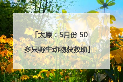 太原：5月份 50多只野生动物获救助