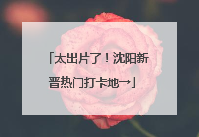 太出片了！沈阳新晋热门打卡地→
