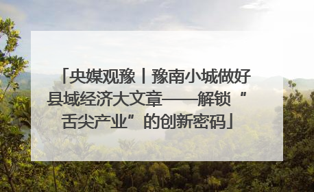 央媒观豫丨豫南小城做好县域经济大文章——解锁“舌尖产业”的创新密码