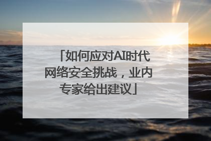 如何应对AI时代网络安全挑战，业内专家给出建议