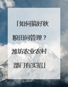 如何搞好秋粮田间管理？潍坊农业农村部门有实招
