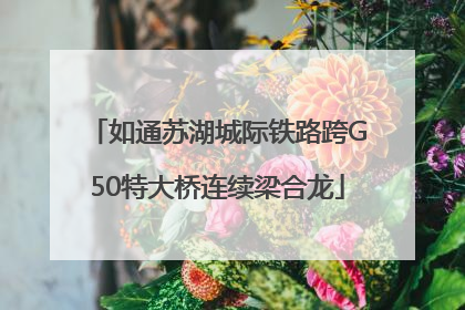 如通苏湖城际铁路跨G50特大桥连续梁合龙