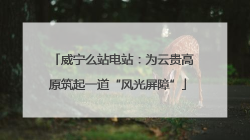 威宁么站电站：为云贵高原筑起一道“风光屏障”