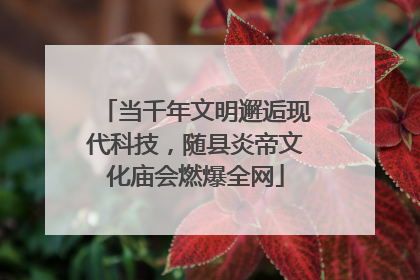 当千年文明邂逅现代科技，随县炎帝文化庙会燃爆全网