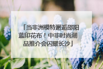 当非洲模特邂逅邵阳蓝印花布！中非时尚潮品推介会闪耀长沙