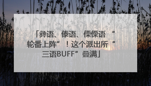 彝语、傣语、傈僳语 “轮番上阵”！这个派出所“三语BUFF”叠满