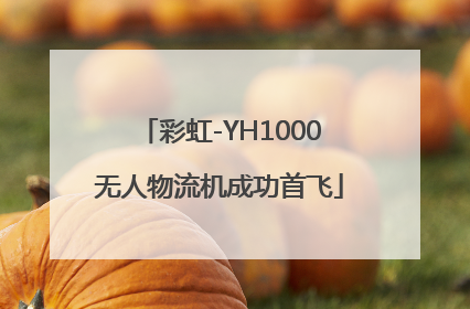 彩虹-YH1000无人物流机成功首飞