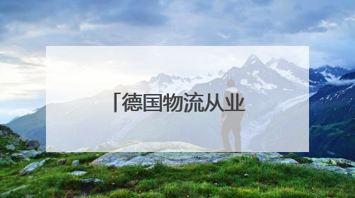 德国物流从业者：美关税政策多变 企业适应“非常困难”