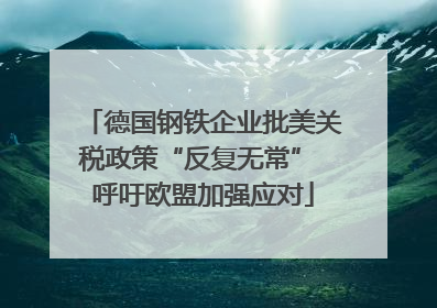 德国钢铁企业批美关税政策“反复无常” 呼吁欧盟加强应对