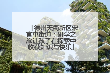 德州天衢新区宋官屯街道：研学之旅让孩子在探索中收获知识与快乐
