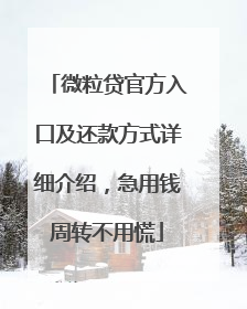 微粒贷官方入口及还款方式详细介绍，急用钱周转不用慌