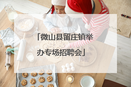 微山县留庄镇举办专场招聘会