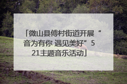 微山县傅村街道开展“音为有你 遇见美好”521主题音乐活动
