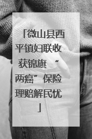 微山县西平镇妇联收获锦旗 “两癌”保险理赔解民忧