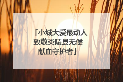小城大爱最动人 致敬炎陵县无偿献血守护者
