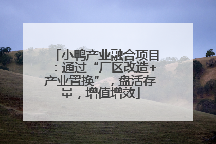 小鸭产业融合项目：通过“厂区改造+产业置换”，盘活存量，增值增效