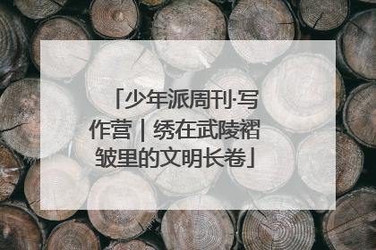 少年派周刊·写作营｜绣在武陵褶皱里的文明长卷