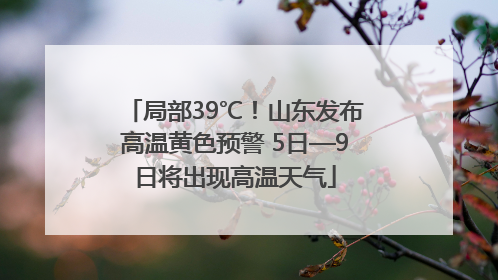 局部39℃！山东发布高温黄色预警 5日—9日将出现高温天气