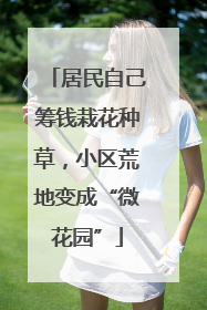 居民自己筹钱栽花种草，小区荒地变成“微花园”