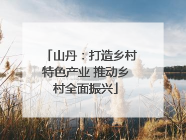 山丹：打造乡村特色产业 推动乡村全面振兴