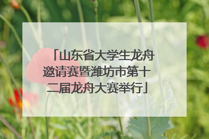 山东省大学生龙舟邀请赛暨潍坊市第十二届龙舟大赛举行