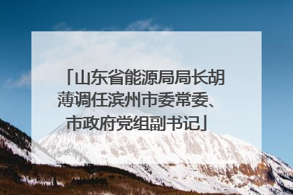 山东省能源局局长胡薄调任滨州市委常委、市政府党组副书记