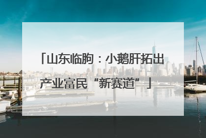 山东临朐：小鹅肝拓出产业富民“新赛道”