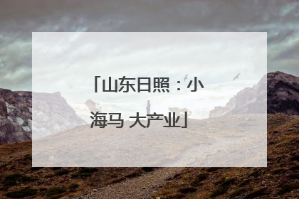 山东日照：小海马 大产业