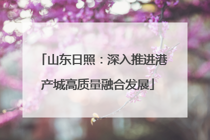 山东日照：深入推进港产城高质量融合发展