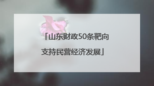 山东财政50条靶向支持民营经济发展