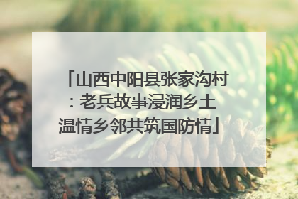 山西中阳县张家沟村：老兵故事浸润乡土 温情乡邻共筑国防情
