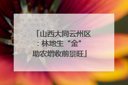 山西大同云州区：林地生“金” 助农增收前景旺