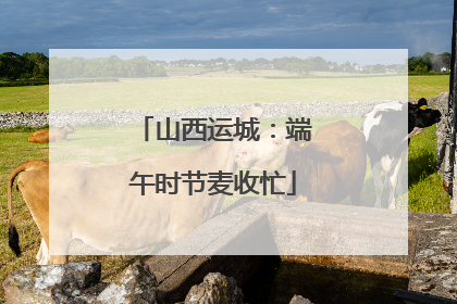 山西运城：端午时节麦收忙